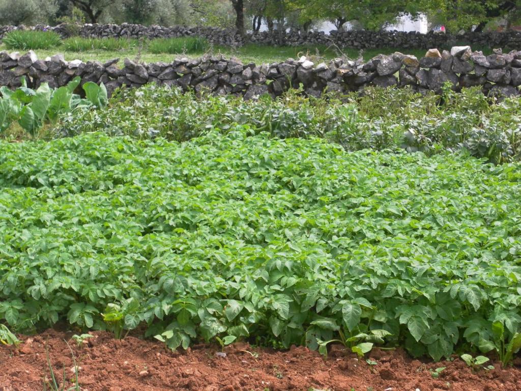 בית הארחה Mendiga 	Retiro Da Avo Lidia - Turismo Rural מראה חיצוני תמונה