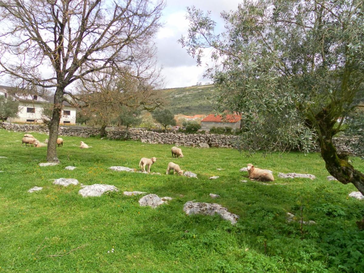 בית הארחה Mendiga 	Retiro Da Avo Lidia - Turismo Rural מראה חיצוני תמונה